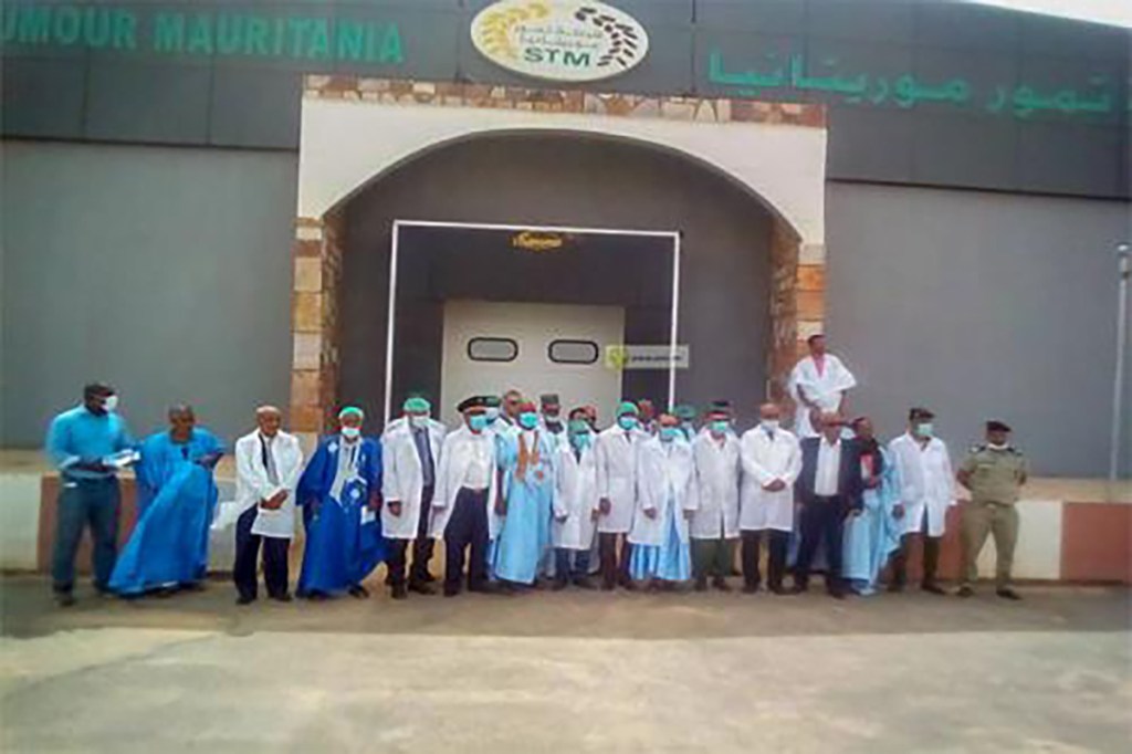 toumour-mauritania-societe-conservation-et-commercialisation-de-dattes-et-legumes