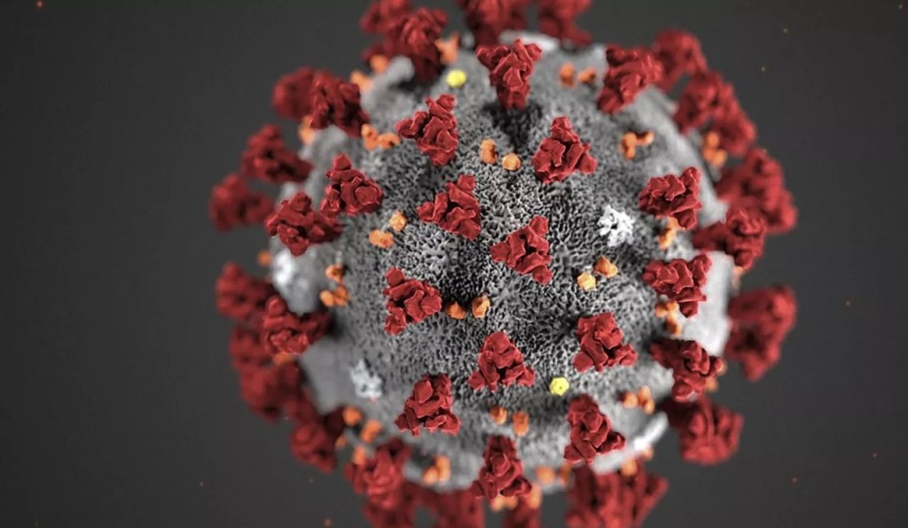 coronavirus Mauritanie