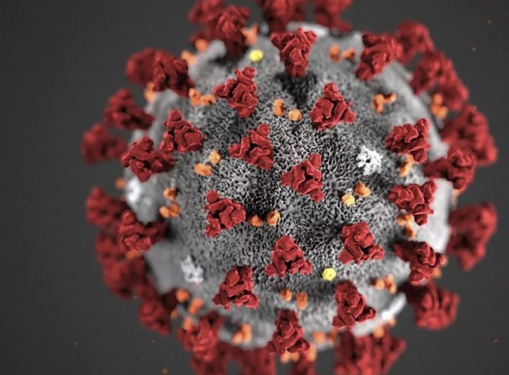 coronavirus Mauritanie