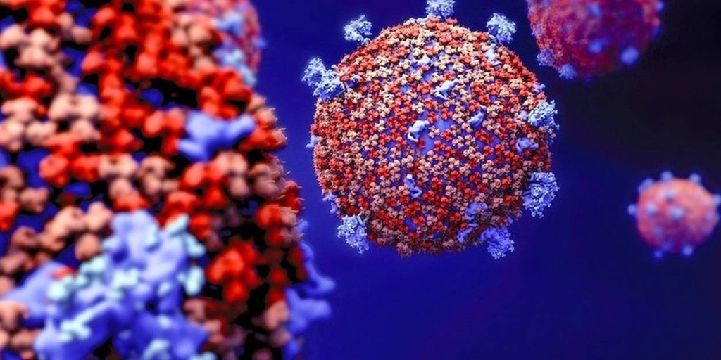 coronavirus Mauritanie