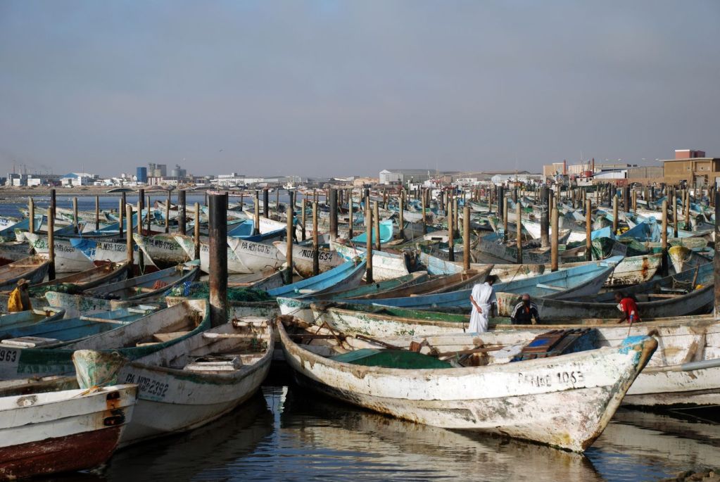 nouadhibou-les-acteurs-de-la-peche-demande-au-president-de-faire-respecter-les-normes-par-les-navires