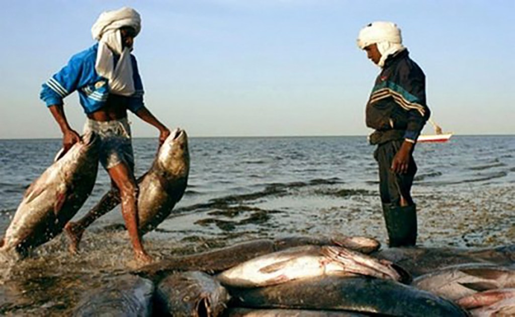 atelier-sur-la-transparence-de-la-peche-en-mauritanie