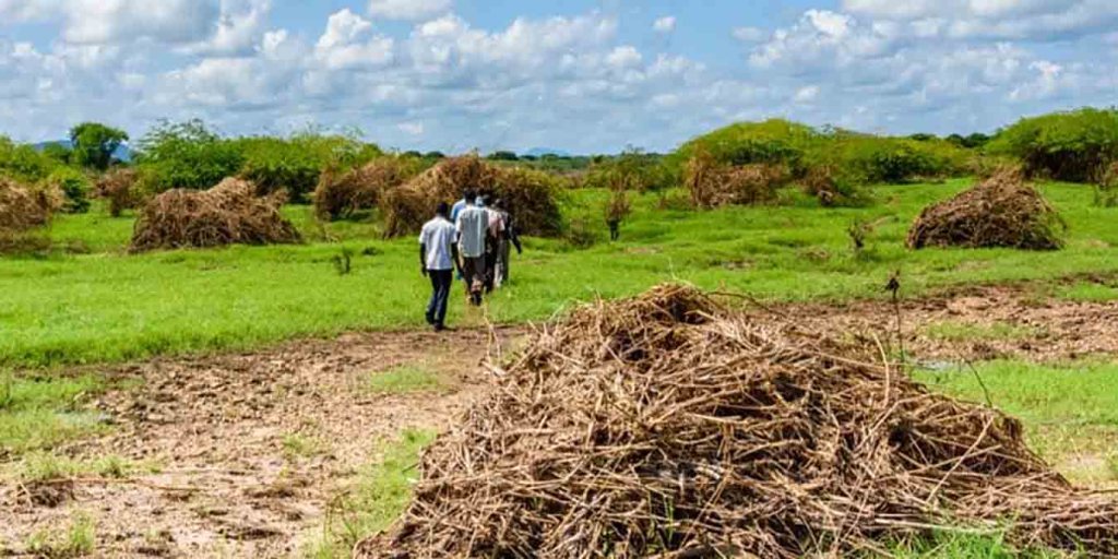 Côte d’Ivoire, l’entrepreneur qui veut transformer les déchets agricoles en richesse
