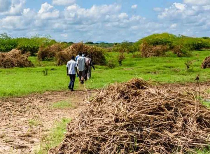 Côte d’Ivoire, l’entrepreneur qui veut transformer les déchets agricoles en richesse