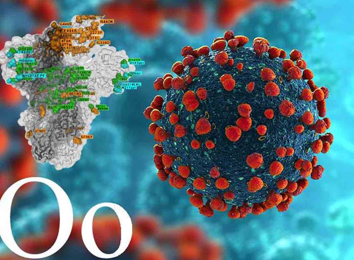 Ce que l'on sait ou pas d'Omicron, le variant du coronavirus