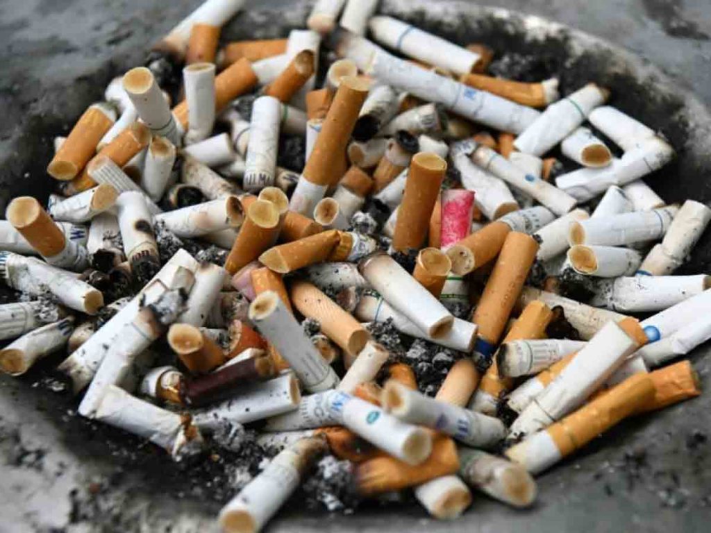 L'industrie du tabac et ses dégâts colossaux sur l'environnement