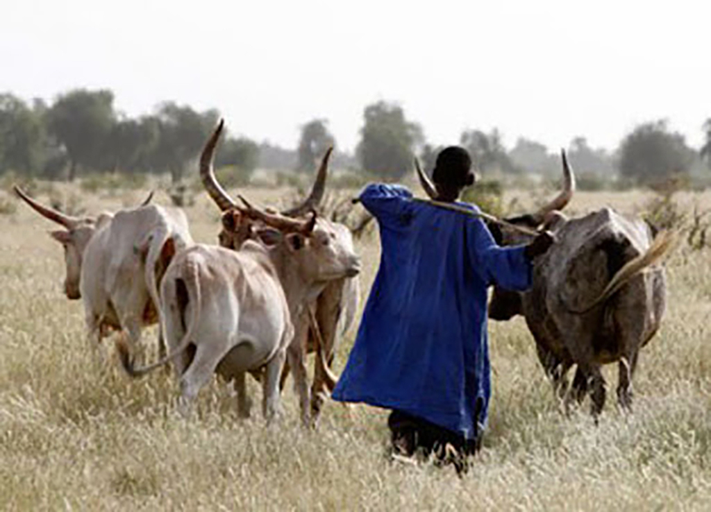 declaration-agriculteurs-eleveurs-pour-le-respect-de-l-environnement-mauritanie